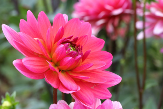 867300 (a): :2500x1667